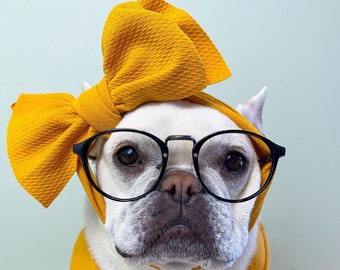Frenchiestore Pet Head Bow Mosterd