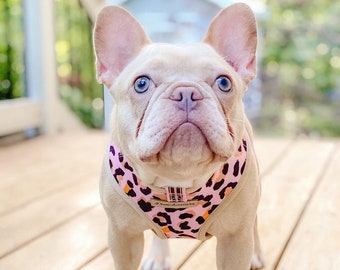 Frenchiestore Reversible Dog Health Harness | Wild One