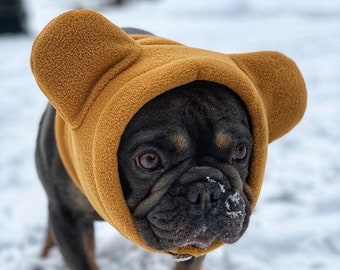 May include: A brown and black French bulldog wearing a brown fleece hooded dog hat with bear ears.