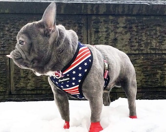Frenchiestore Omkeerbaar hondengezondheidstuig | Allemaal Amerikaans