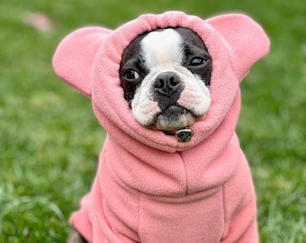 May include: A Boston Terrier dog wearing a pink hooded sweater with large ears. The dog is sitting on green grass.