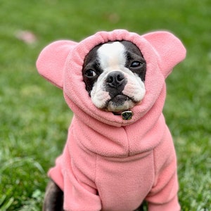 Frenchie wear discount