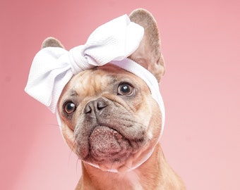 Frenchiestore Pet Head Bow | White