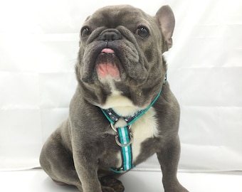 Frenchiestore Verstelbaar Gezondheidsharnas | Frenchie-liefde in Wintertaling