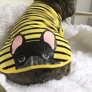 Frenchie Shirt | Frenchiestore | Black French Bulldog in Bumblebee