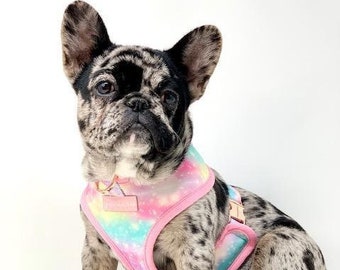 Frenchiestore Reversible Dog Health Harness | UniPup