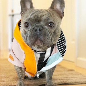 French Bulldog hoodie | Frenchie Clothing | Forest Sunrise