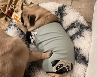 Pug Pajamas | Pug Dog Clothing | Fawn Pug dog