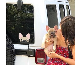 Frenchie-sticker | Frenchiestore |  Blauwe Fawn Franse Bulldog autosticker