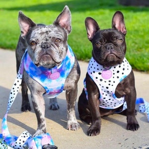 Frenchiestore Reversible Dog Health Harness | 101 Dalmatians