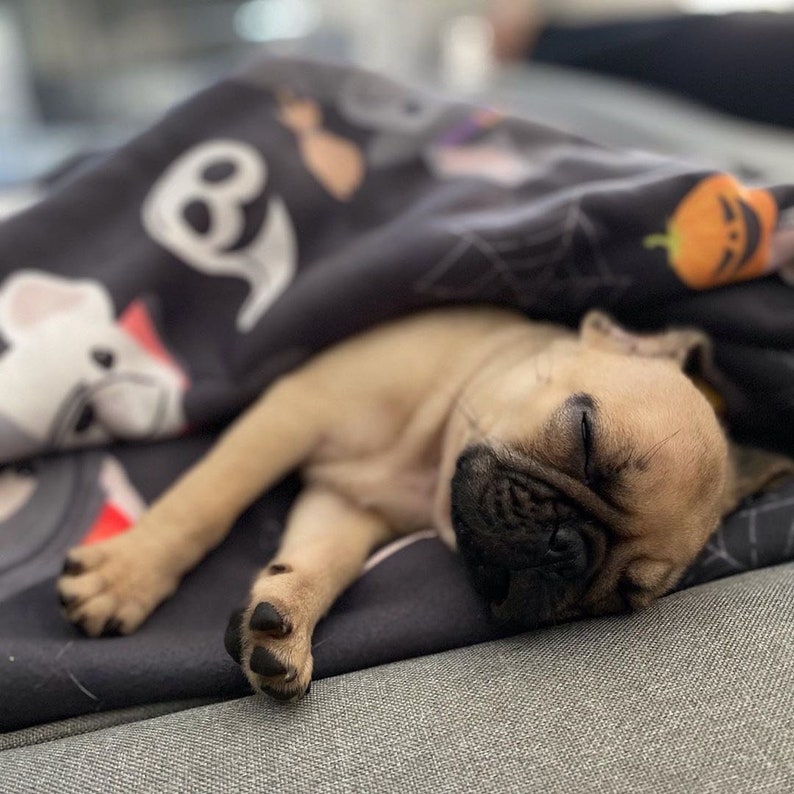 Frenchie Halloween Blanket | French Bulldogs in costumes image 1