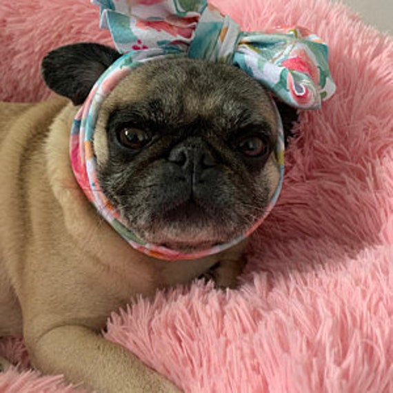 Frenchiestore Pet Head Bow Sweetheart