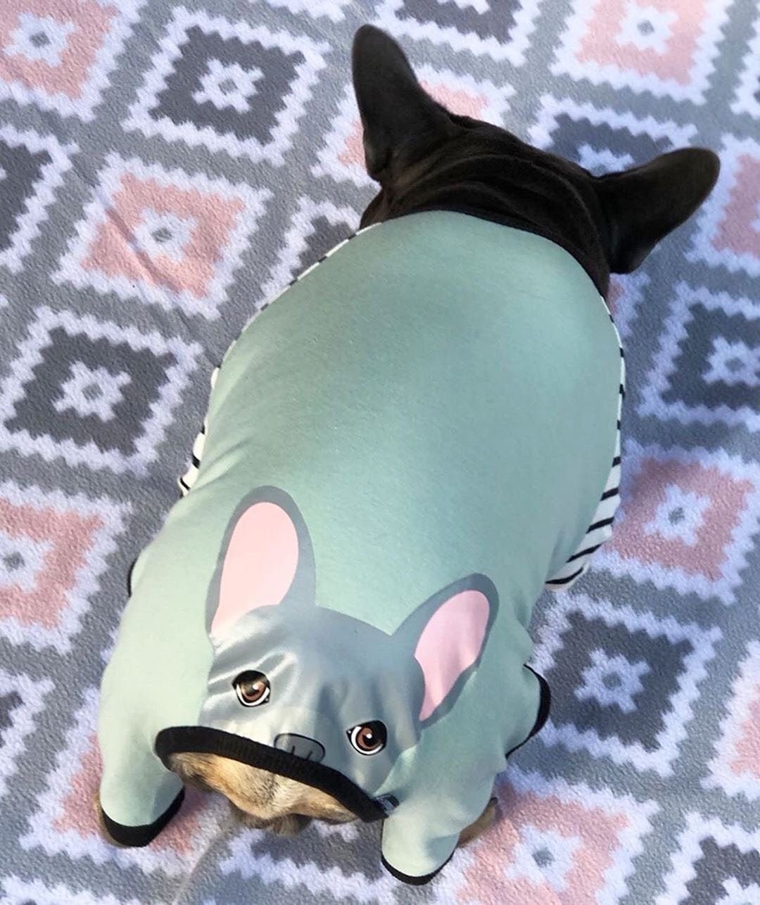 Pajama Sets Onesies For French Bulldogs French Bulldog Pajamas