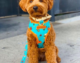 Frenchiestore Reversible Dog Health Harness Pumpkin Spice Pupcup