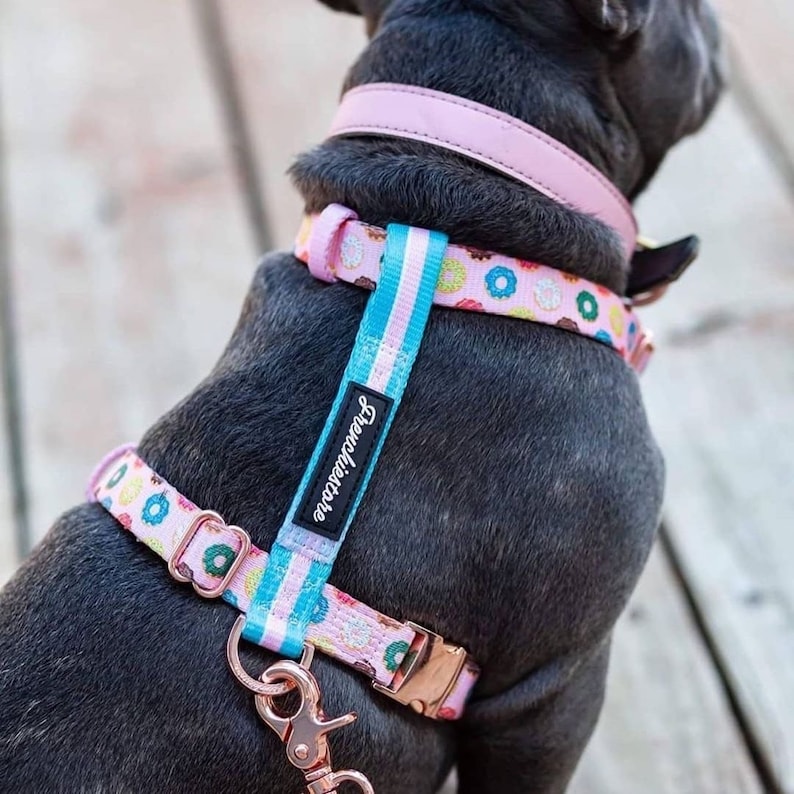 Luxury Leash Pink StarPup image 4