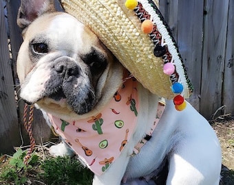 Frenchiestore Adjustable Health Harness | Livin&#39; La Vida Frenchie