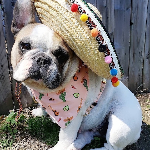 Society6 ケース Livin' la vida Frenchie by PaperTigress Frenchiestore Adjustable Health Harness | Livin' La Vida