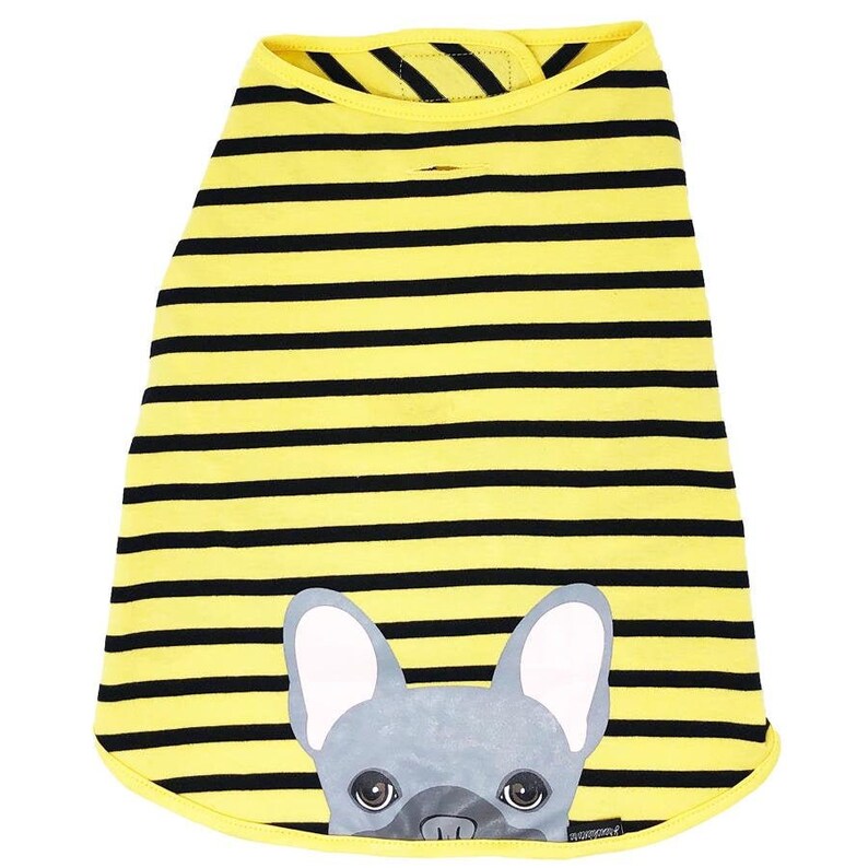 Blue French Bulldog in Bumblebee Frenchiestore Frenchie Shirt