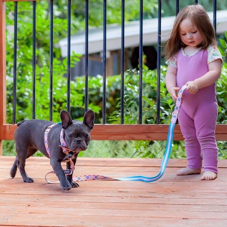 Luxury Leash Pink StarPup image 3