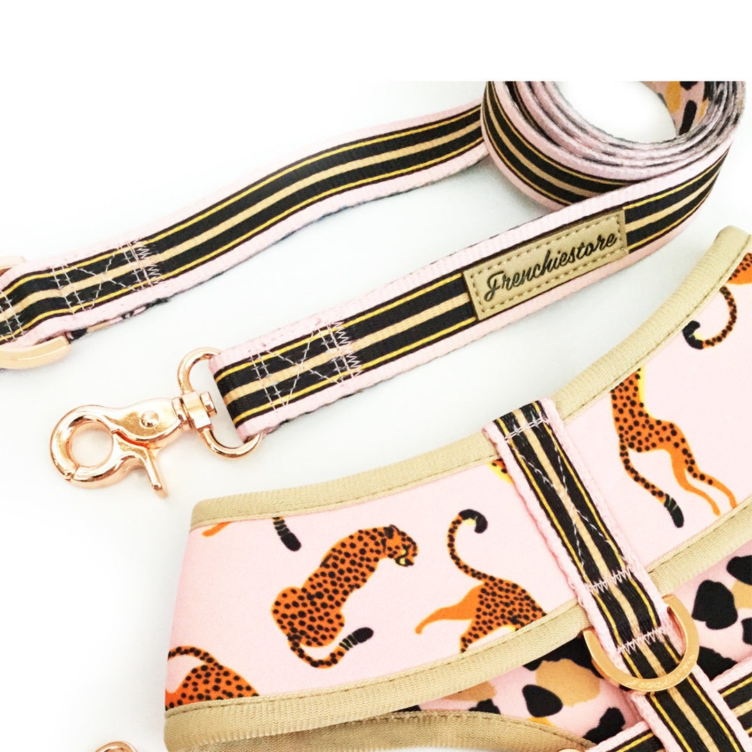 Frenchiestore Dog Luxury Leash Wild One Etsy