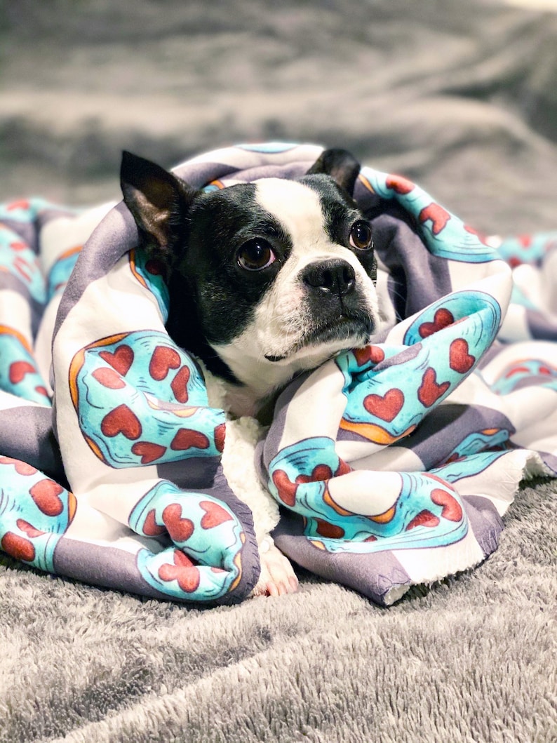 Frenchie Blanket Frenchiestore Frenchie Donuts Etsy