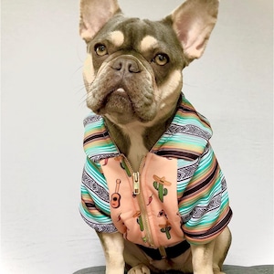 May include: A French bulldog wearing a pink and blue hooded sweater with a Mexican-inspired print featuring cacti, guitars, and sombreros.