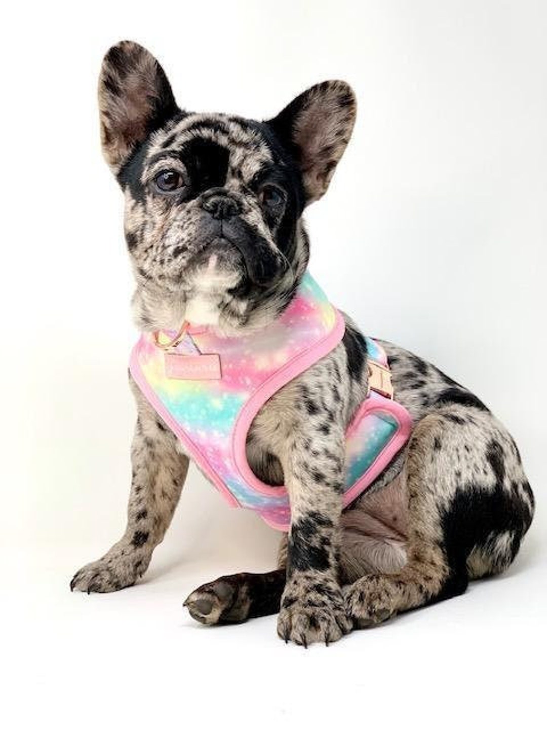 Frenchiestore Reversible Dog Health Harness Unipup Australia