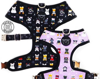 Frenchiestore Reversible Dog Health Harness | Frenchie Attire