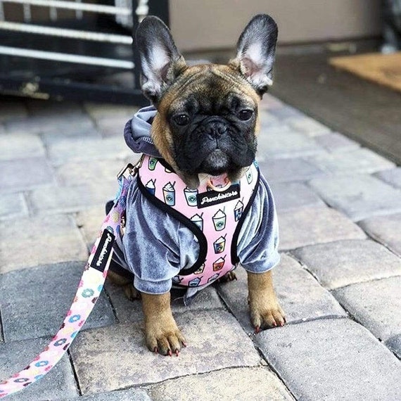 French Bulldog Harness Versatile Health Harness Pink Starpup - Etsy