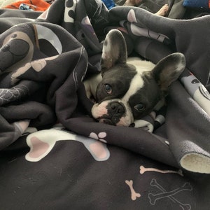 Frenchie Halloween Blanket | French Bulldogs in costumes image 4