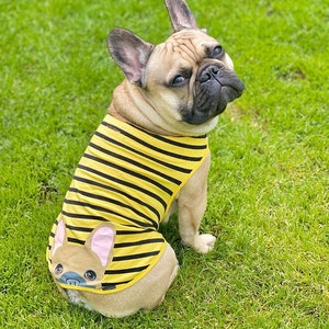 Frenchie Shirt | Frenchiestore | Fawn French Bulldog in Bumblebee