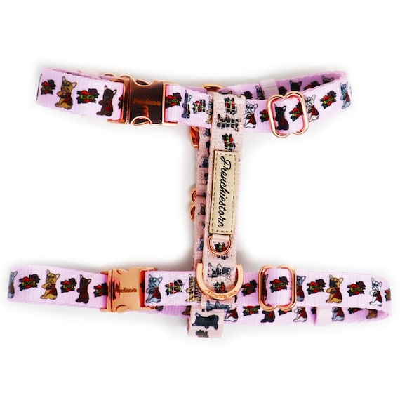 Frenchie strap harness sales
