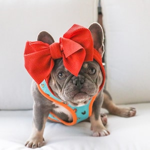 Frenchiestore Pet Head Bow  Vintage red