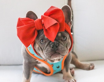 Frenchiestore Dierenhoofdstrik Vintage rood