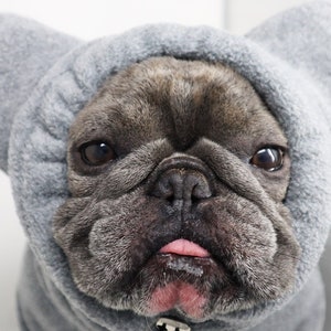 Frenchiestore Organic Dog Frenchie Ear Hoodie | Koala Bear