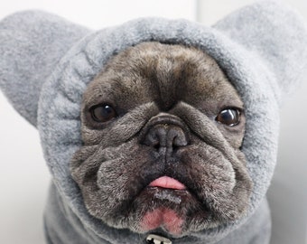 Frenchiestore Organic Dog Frenchie Ear Hoodie | Koala Bear