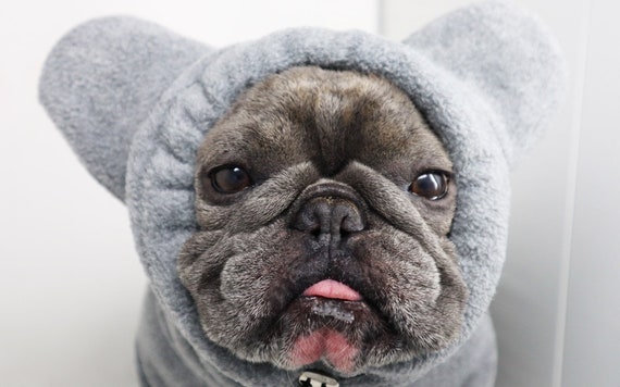 Dog ear hoodie cheap