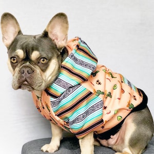 May include: A French bulldog wearing a peach-colored hoodie with a colorful striped pattern and a cactus and avocado print. The dog is sitting on a gray surface.