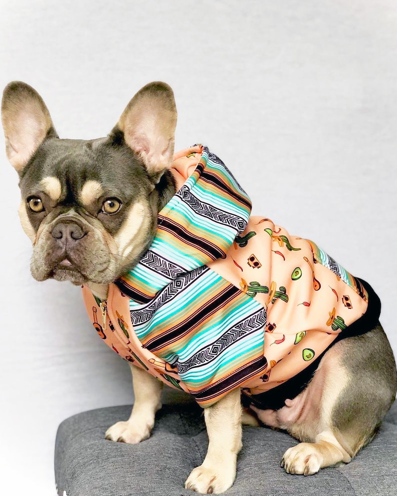 May include: A French bulldog wearing a peach-colored hoodie with a colorful striped pattern and a cactus and avocado print. The dog is sitting on a gray surface.