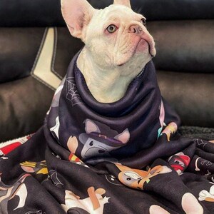 May include: A white French bulldog puppy is curled up in a black fleece blanket with a Halloween-themed print of various dogs dressed in costumes.