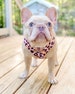 French Bulldog Harness | Versatile Health Harness | Wild One 