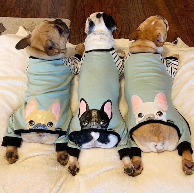 Pajamas hotsell for bulldogs