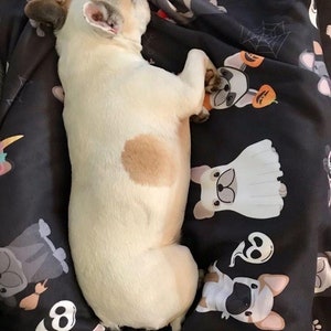 Frenchie Halloween Blanket | French Bulldogs in costumes image 3