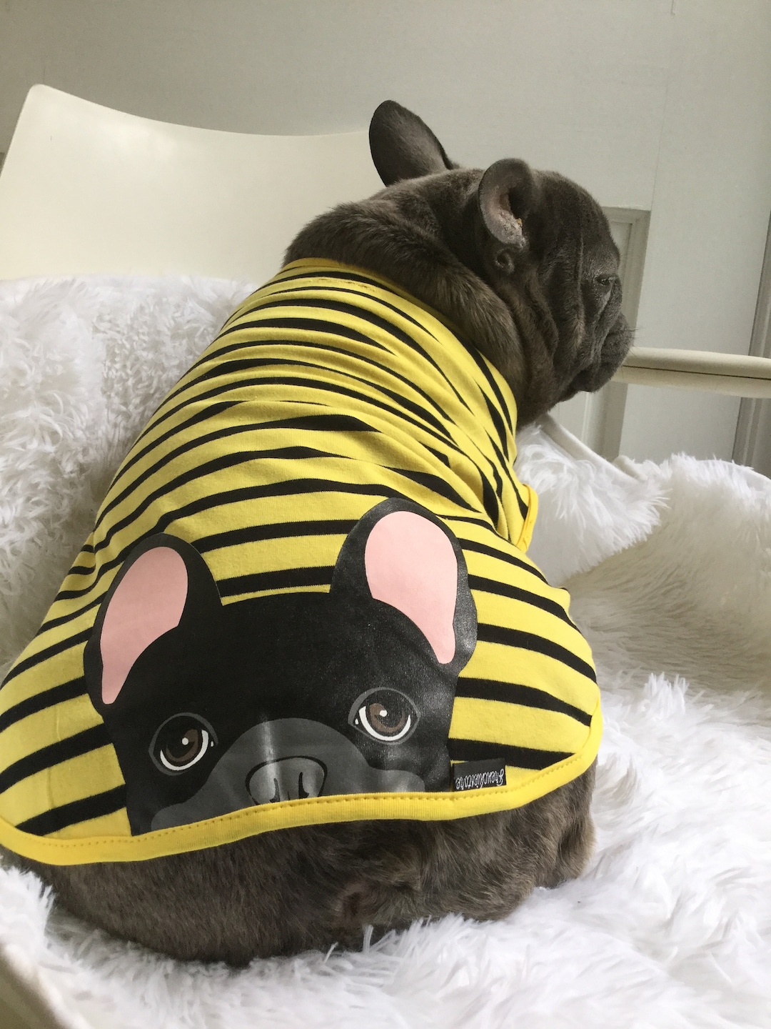 Frenchie Shirt Frenchiestore Black French Bulldog in Bumblebee