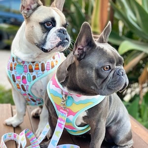 Frenchiestore Reversible Dog Health Harness | Ice Cream