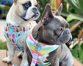 Frenchiestore Reversible Dog Health Harness | Ice Cream