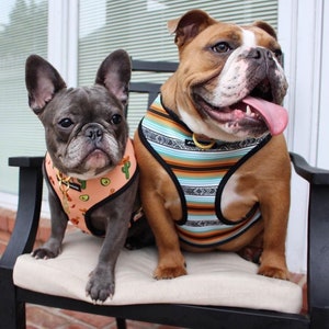 Frenchiestore Reversible Dog Health Harness | Livin' La Vida Frenchie