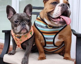 Frenchiestore Reversible Dog Health Harness | Livin&#39; La Vida Frenchie
