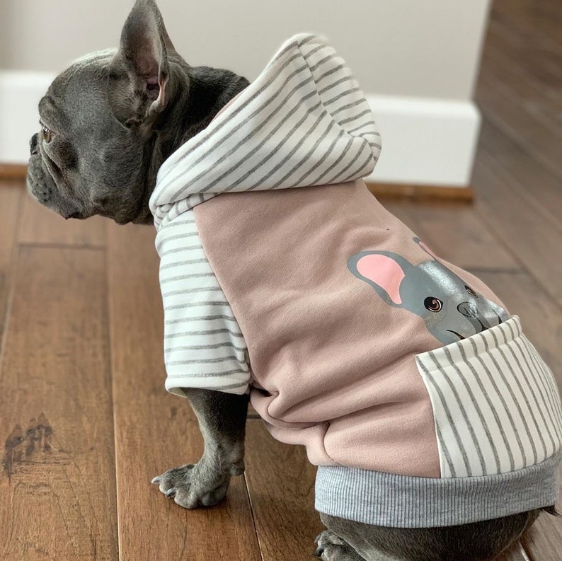 frenchie dog hoodie