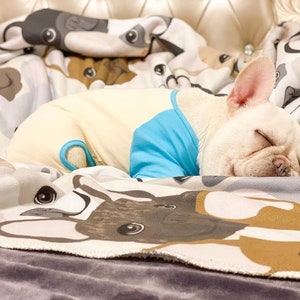 Frenchie Fanatic Quilted Blanket NCU0PD073